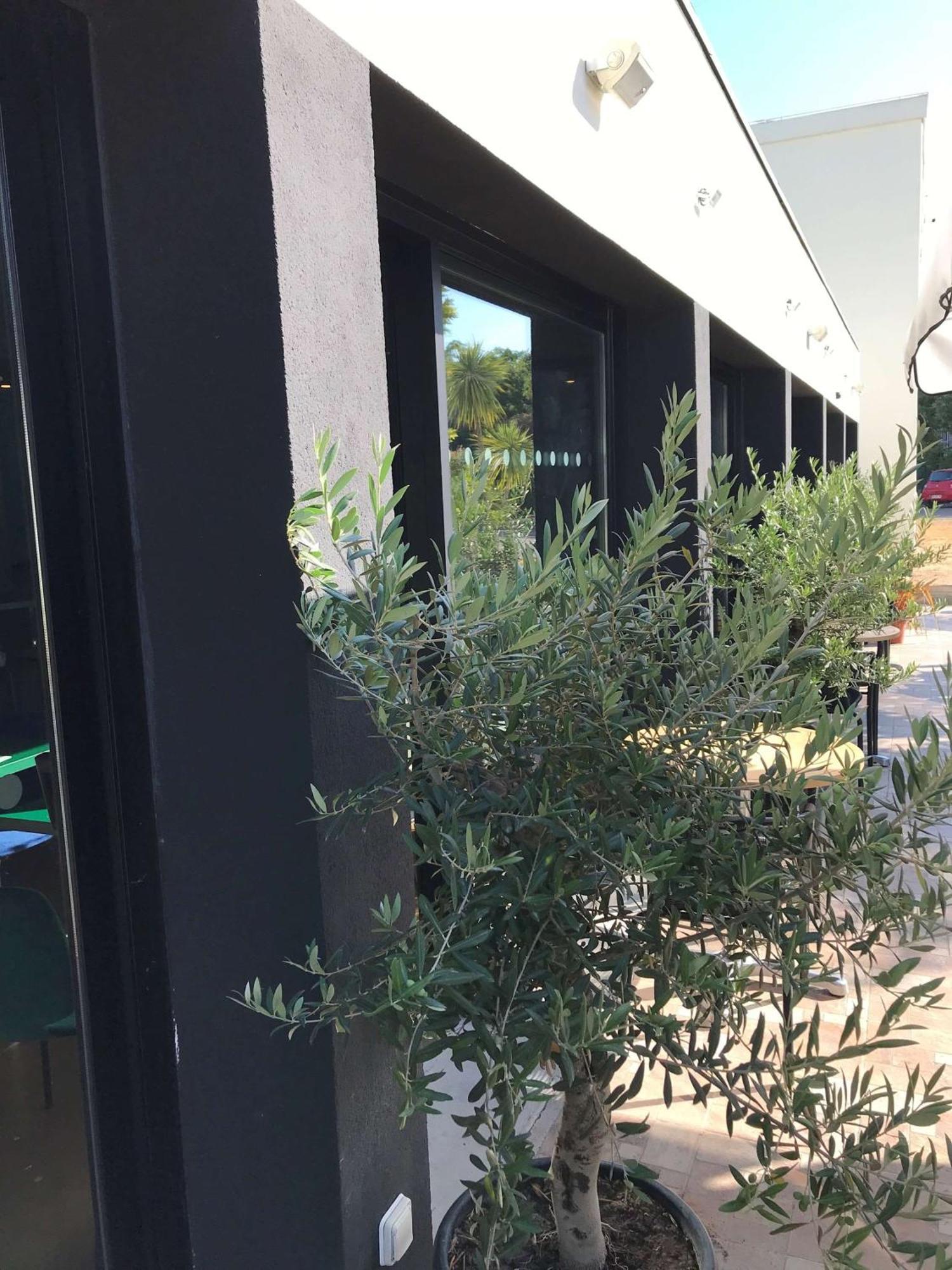 Brit Hotel Marseille Aeroport Mirabeau Εξωτερικό φωτογραφία